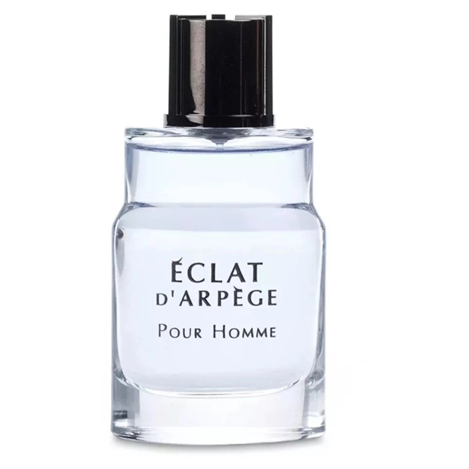 Eclat D Arpege Pour Homme Eau de Toilette 100ml