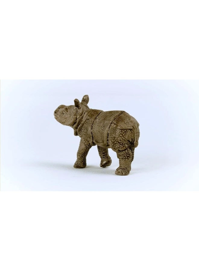 Baby Indian Rhinoceros