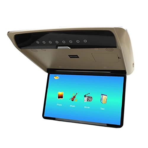 Car Overhead Player - 15.6in