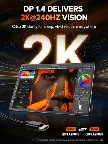 Portable Monitor - 24.5 24.5 Inches 2560x1440