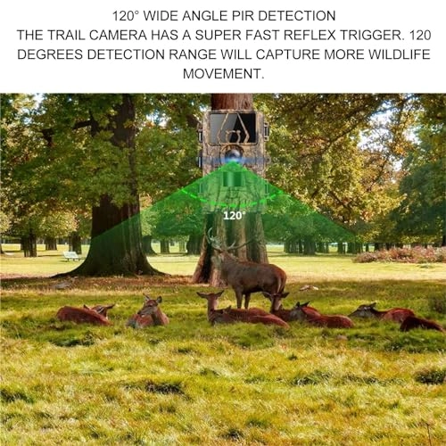 Goshydar4f85xsbpt - 60MP