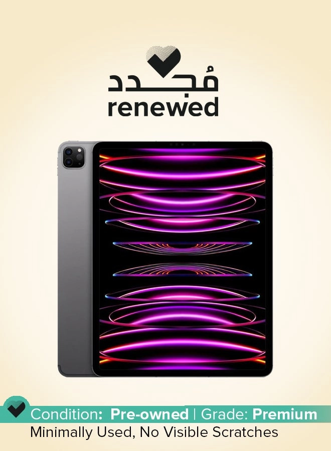 iPad Pro M2 (2022) - 256GB 11"