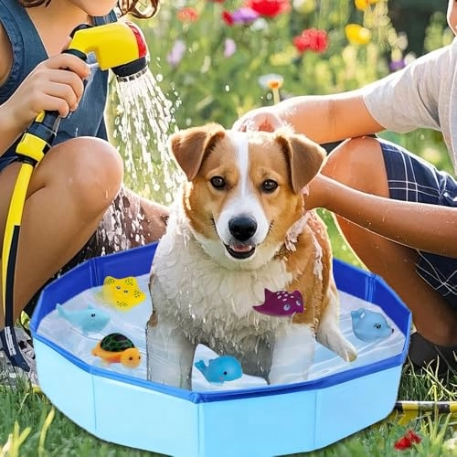 Cat Pool Toy