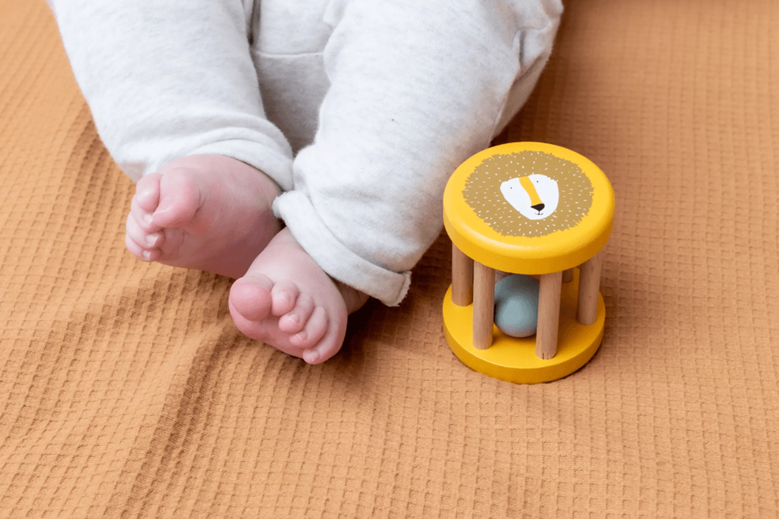 Wooden Rolling Rattle - 6 months wooden Mr. Lion