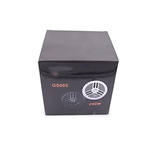 Outdoor Wireless Speaker - 6.5" 120W