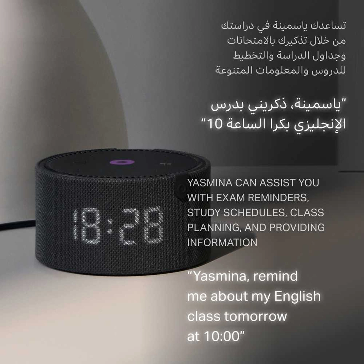 Y-00020 1st Gen - Grey, 10W, 4 Microphones