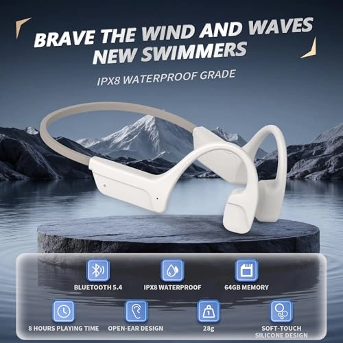 T02 Wireless Headphone