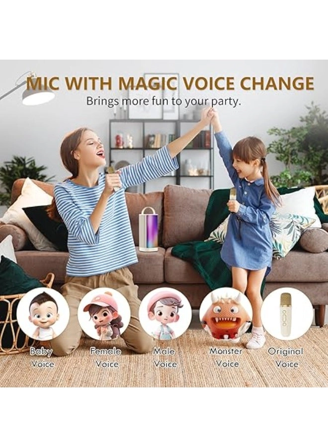 Karaoke machine - 2 wireless microphone