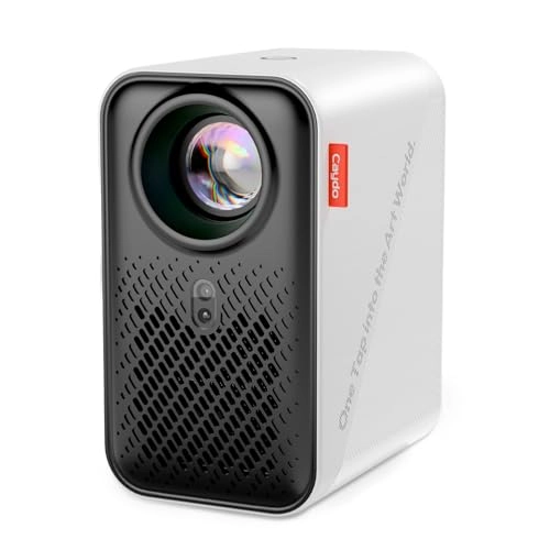 P1 P-004W 3840 x 2160 Pixels