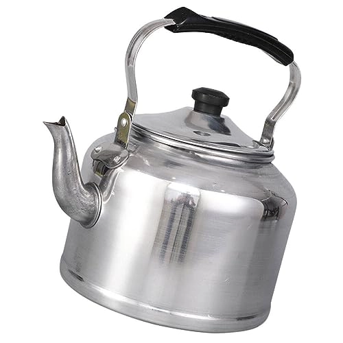 Aluminum Electric Kettle
