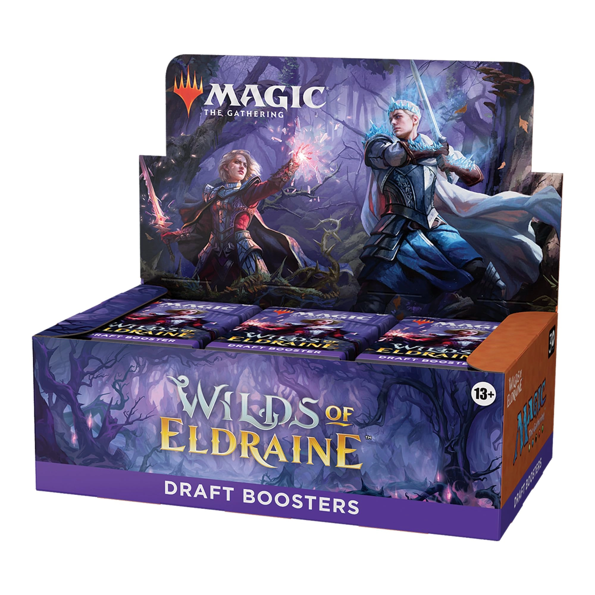 Magic: the Gathering Wilds of Eldraine Draft Booster Box - 15pcs