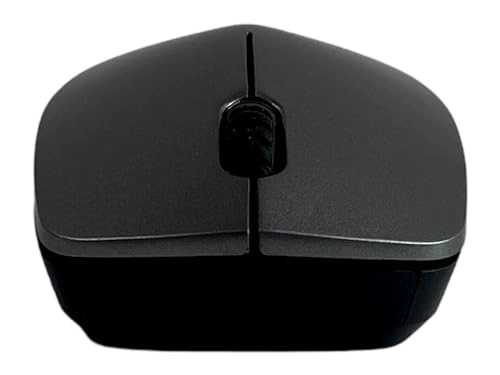 SX-1000 - 2.4GHz Wireless
