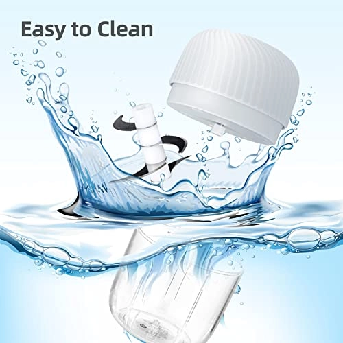 Electric Garlic Chopper - 250ML USB Charging