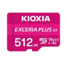 Exceria Micro SD Class 10 XC