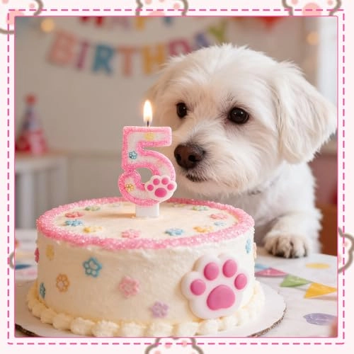 Number 3 Birthday Candle - 1 Count Birthday
