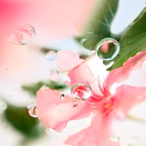 Les Ô Ôver the Top Eau de Toilette 100 ml