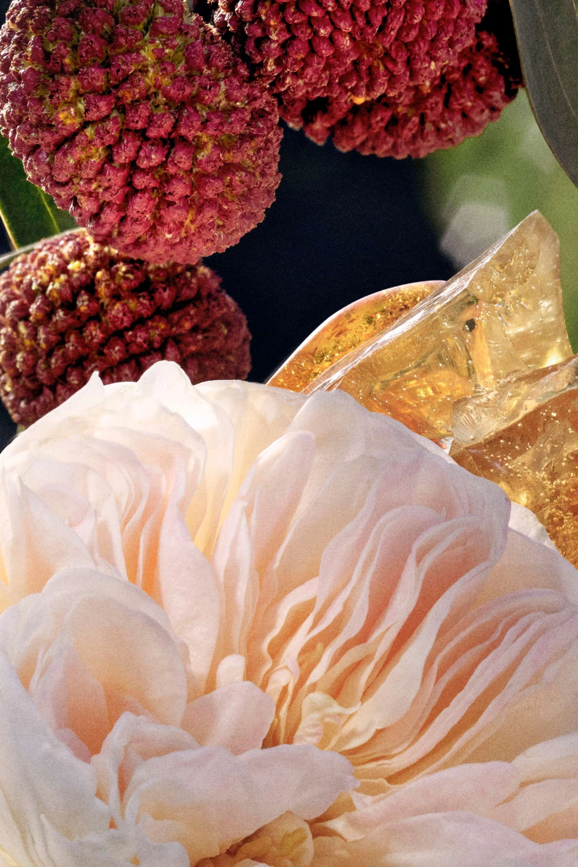 Chloe Eau de Parfum 50ml