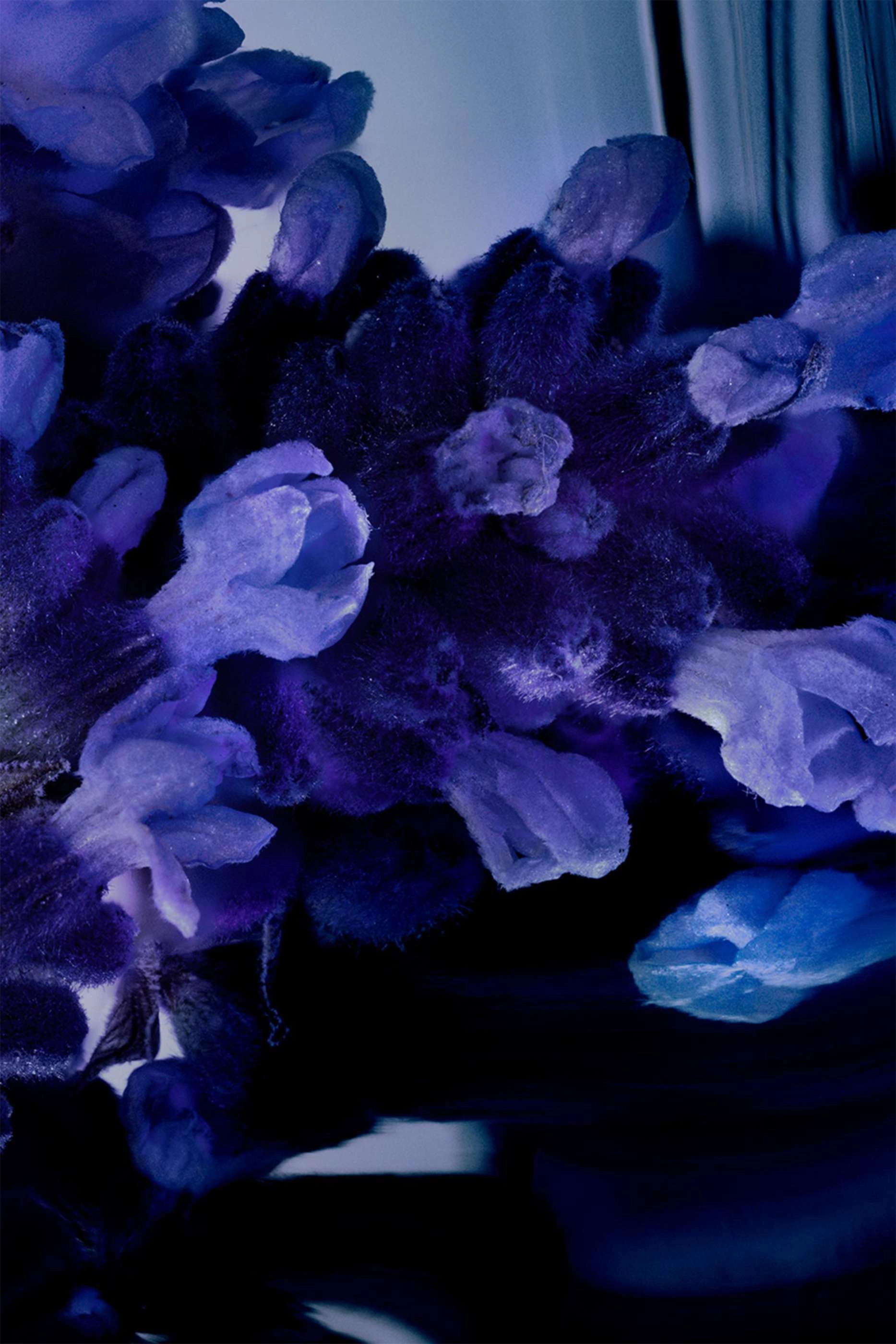 (Refill) Y L'Elixir Eau de Parfum 60ml