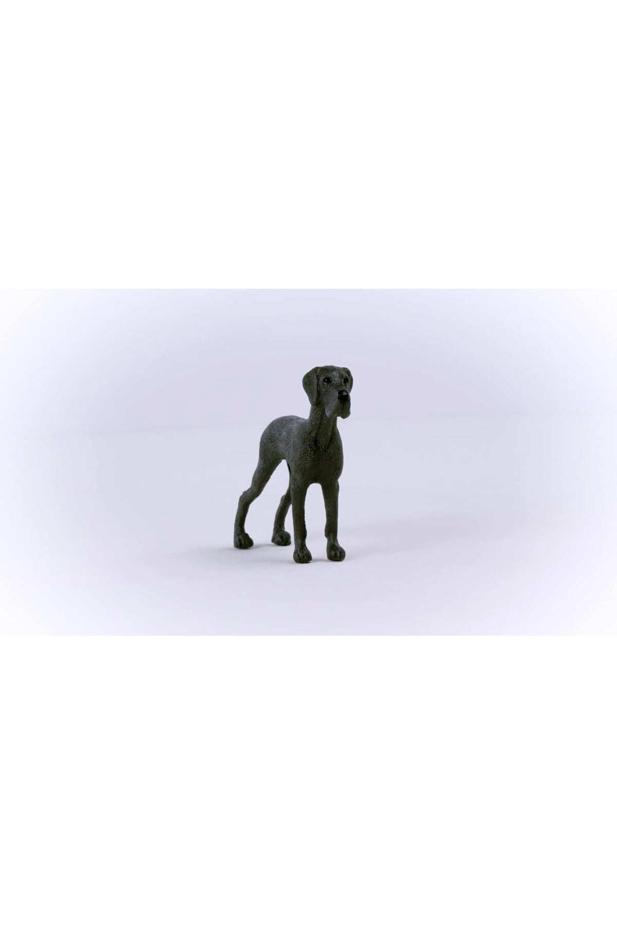 Great Dane - 3 to 8 1 Piece