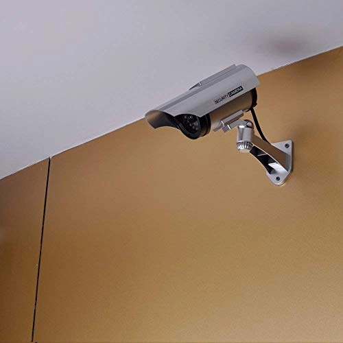 Dummy Dome Camera - Outdoor Indoor