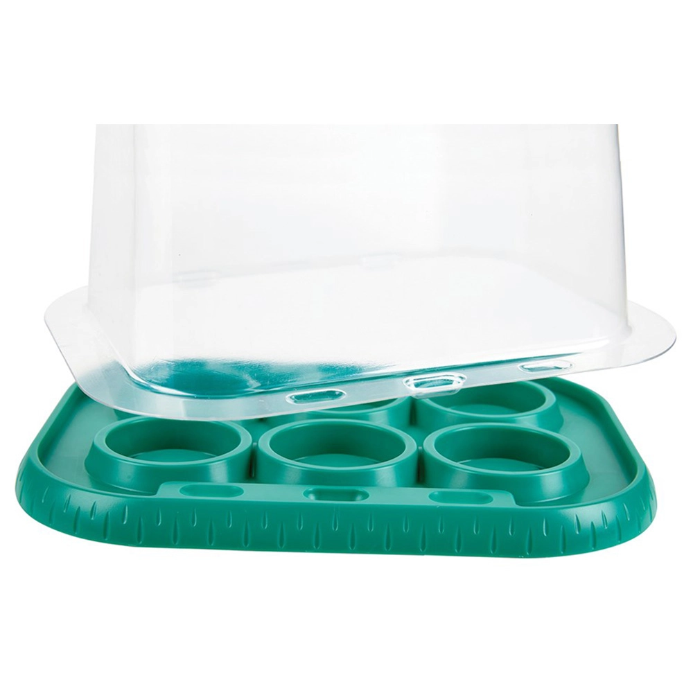 Growing Gardeners Greenhouse - 4 years+