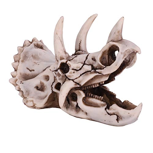 Triceratops Skull - 14 centimeters