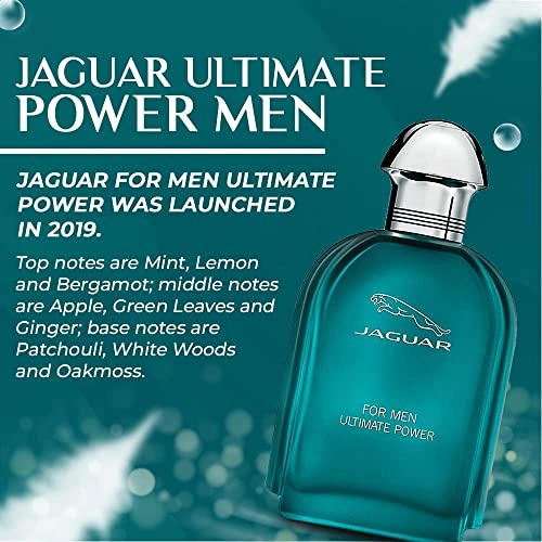Ultimate Power Eau de Toilette 100 ml