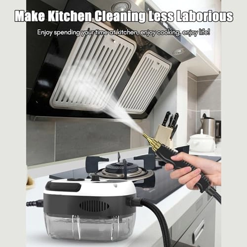 High Temperature Steam Cleaner - 2-3Bar