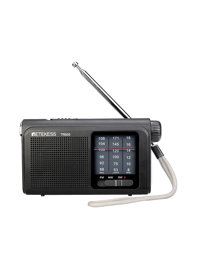 V6622 - Portable Radio