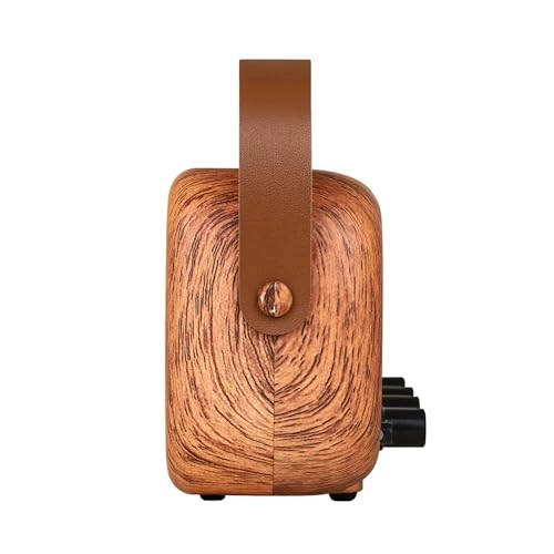 Portable BT Guitar Amplifier - 5W Dual Speaker 2000mAh