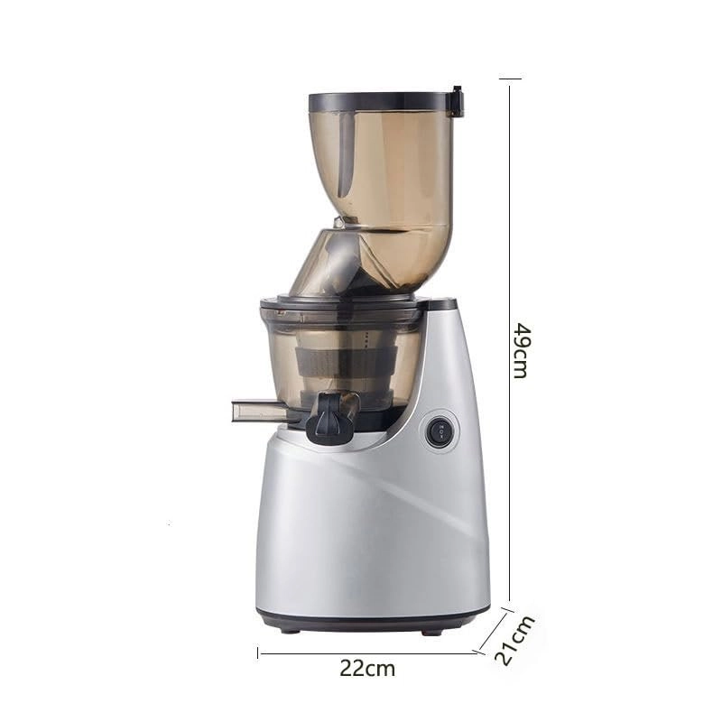 Slow Masticating Juicer - 250W 1L