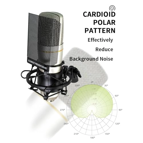 ZX89 Wired Microphone - 48V Large Diaphragm
