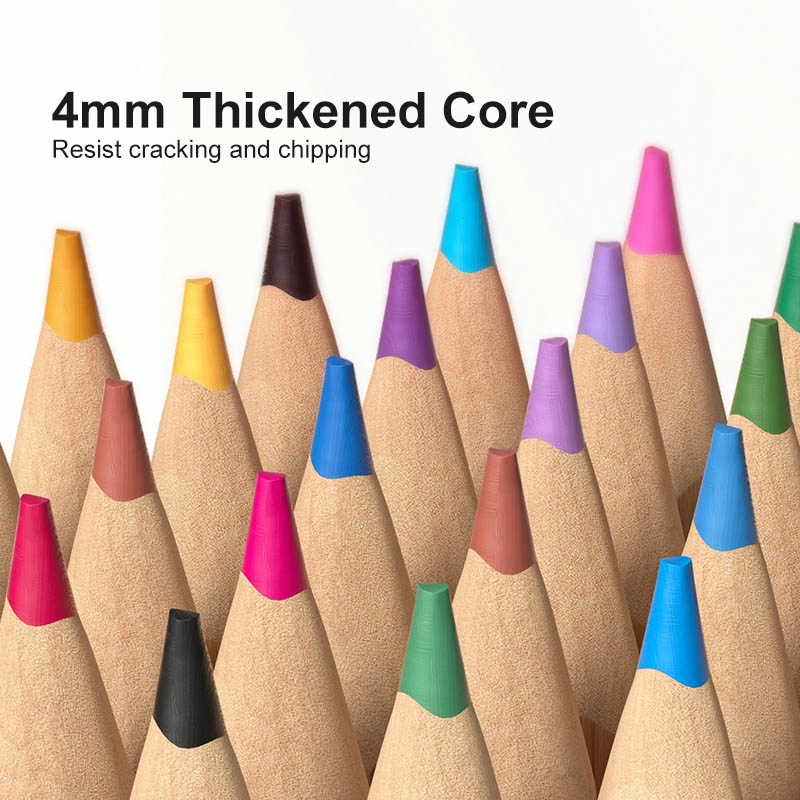 Vibrant Coloring Pencils - 24