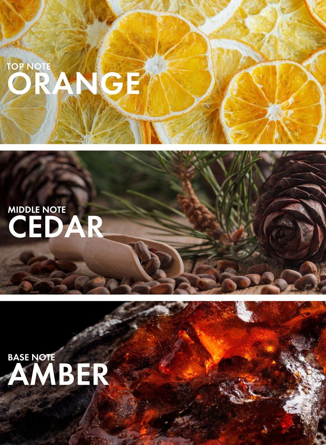 Orange Black Tea - Eau de Parfum 50 ml