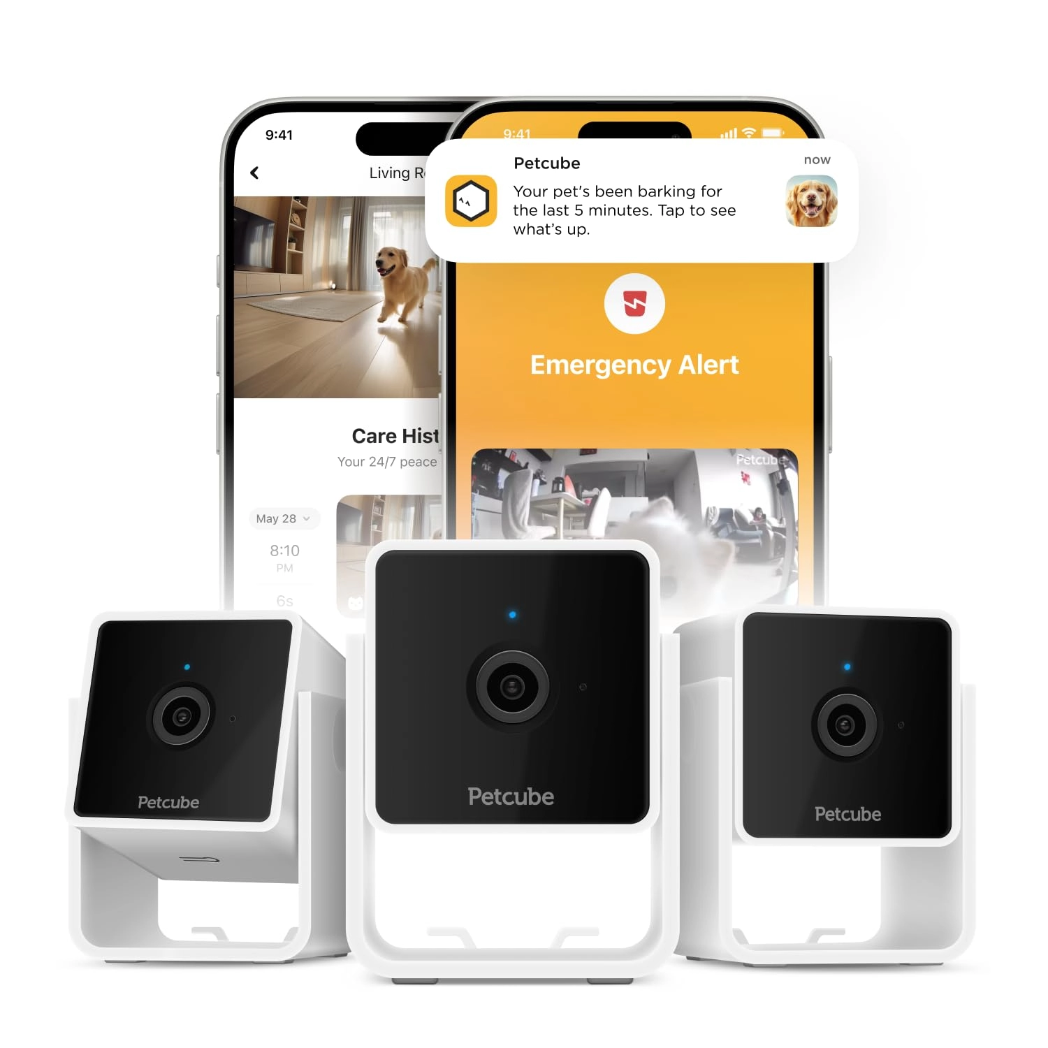 Petcube Cam 1080p