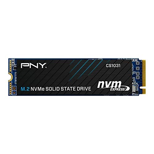CS1031 - 256 GB M 2