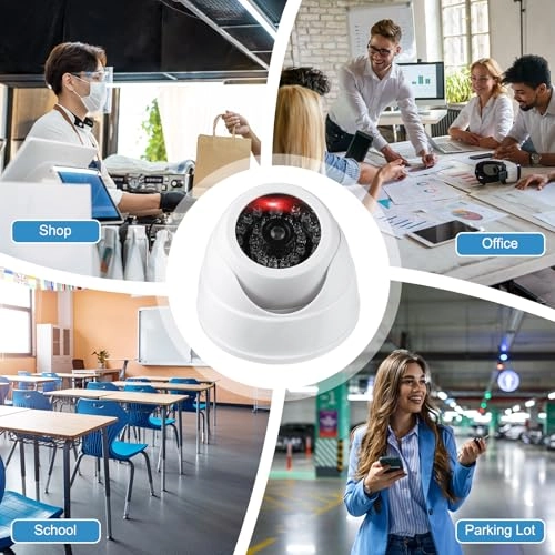 Fake Security Camera - Indoor & Outdoor