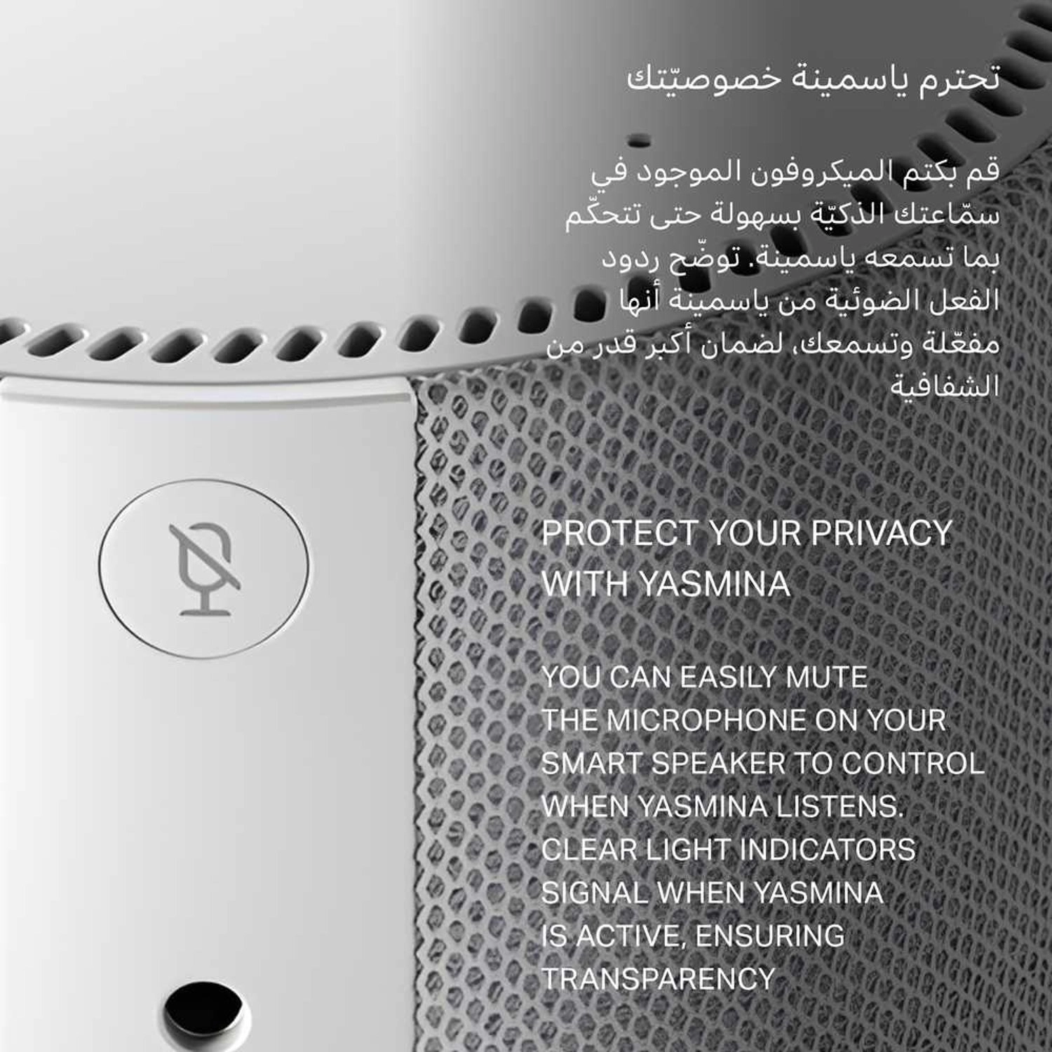 Y-00020 1st Gen - Grey, 10W, 4 Microphones