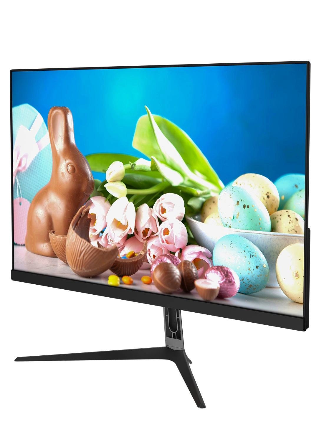 T221 - 22 inch 1080 X 1920 pixels