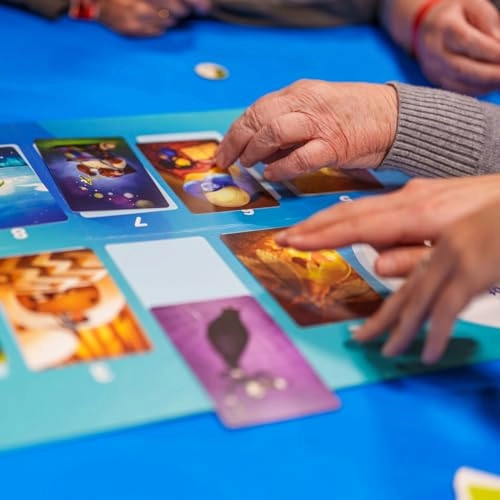 Dixit Access+ (French, Dutch)