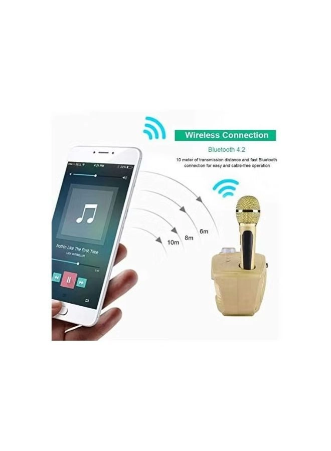 Speaker with Mic - 2 microphones