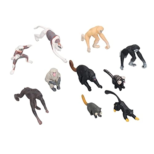 Primate Animal Model Set - 10 pieces