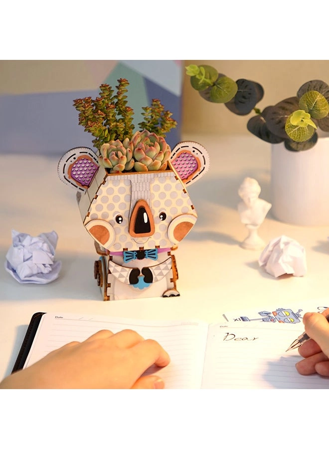 Pot Koala - 8+ Years