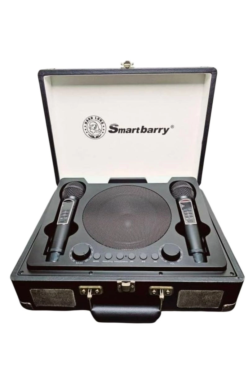 Karaoke Bluetooth Speaker - 2 Microphones