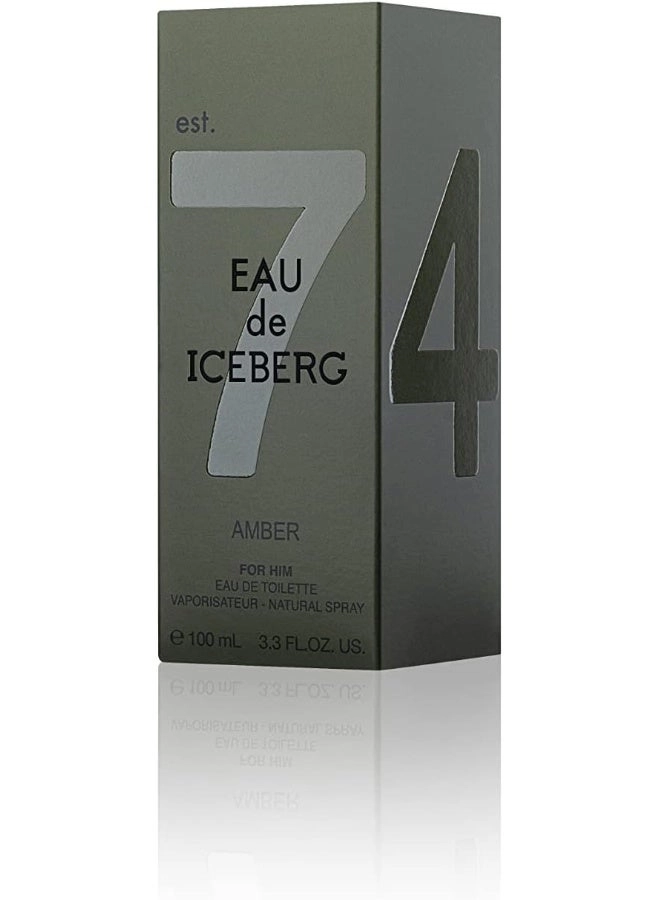 Amber Man Eau de Toilette 100 ml