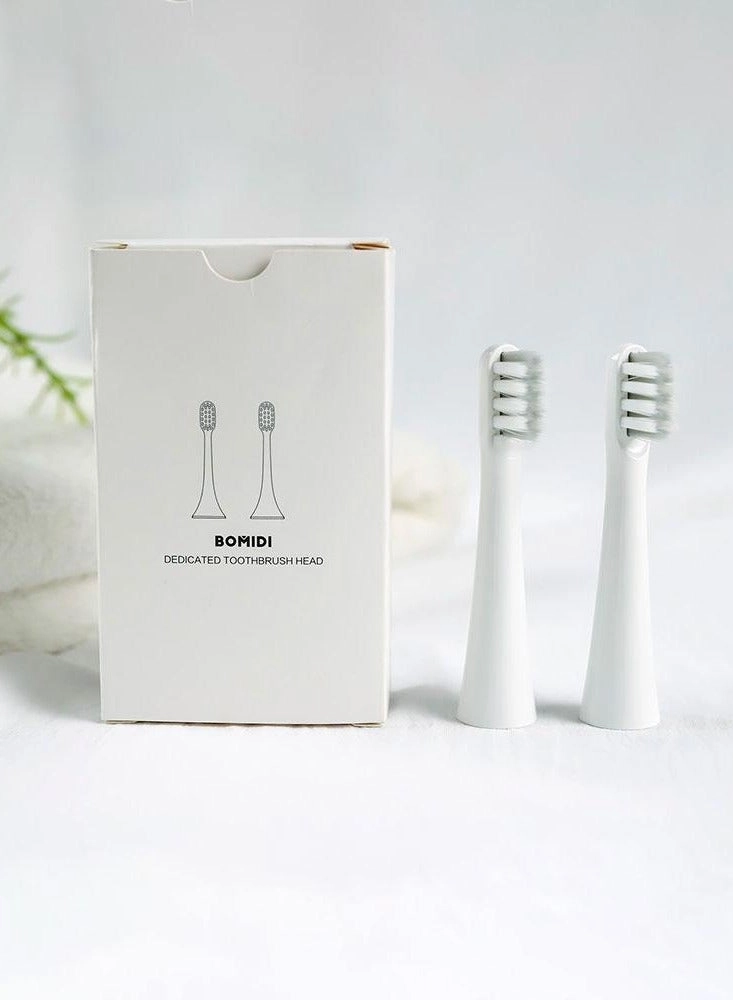 T501 Replacement Head - 2pcs White