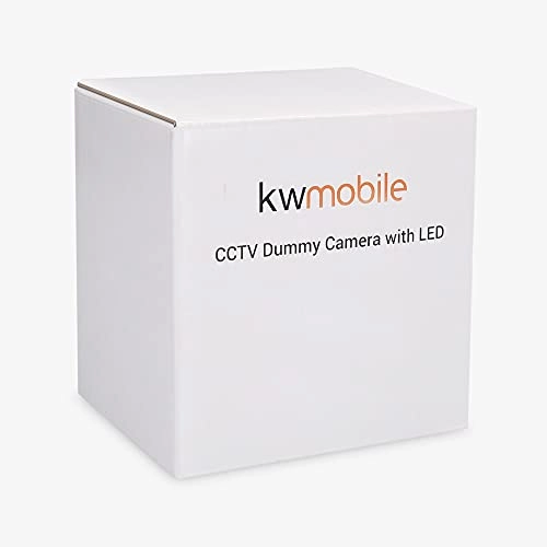 Dummy Camera with Light - Outdoor