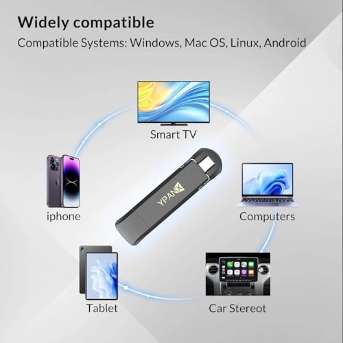 Portable SSD - 256GB