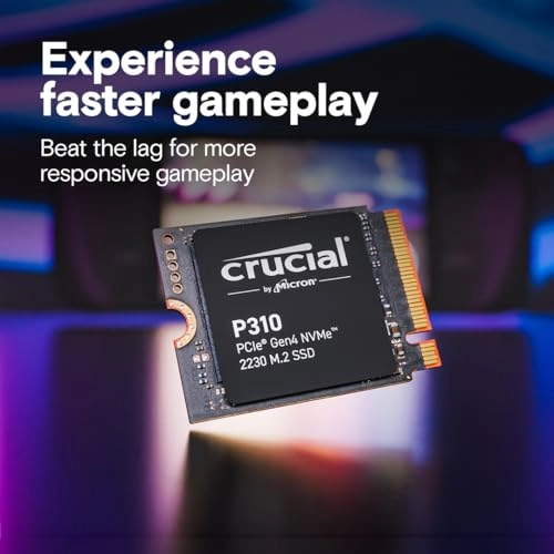 P310 - 1 TB 2230