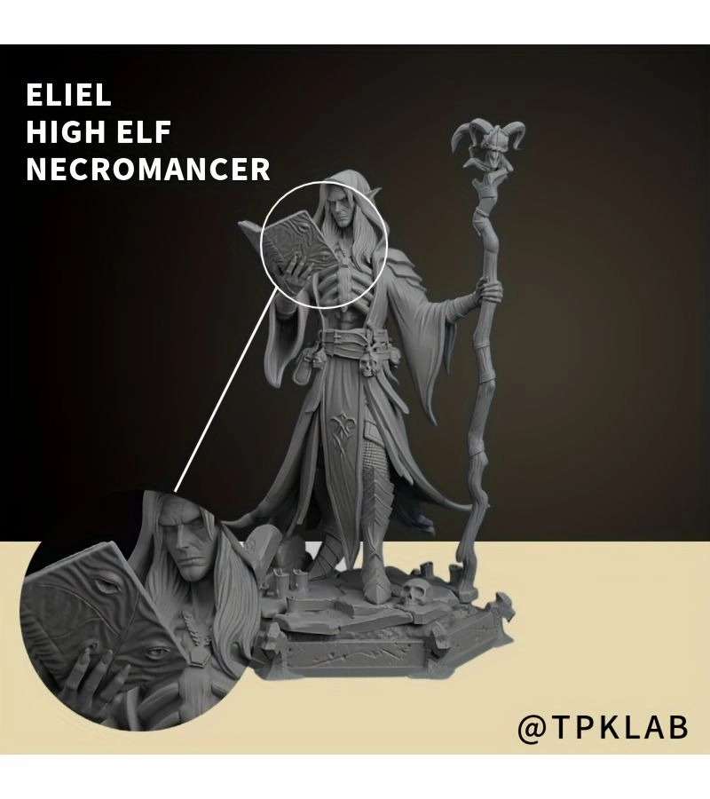 Generic High Elven Necromancer